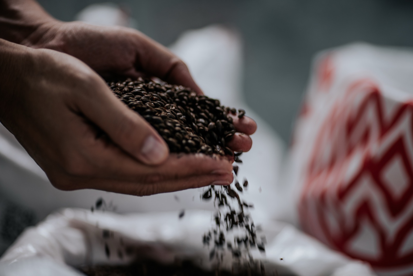 Dark malt for the recipe